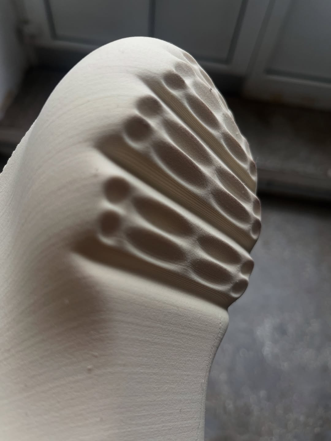 Sci-fi Spinosaurus Mesh Slip-On