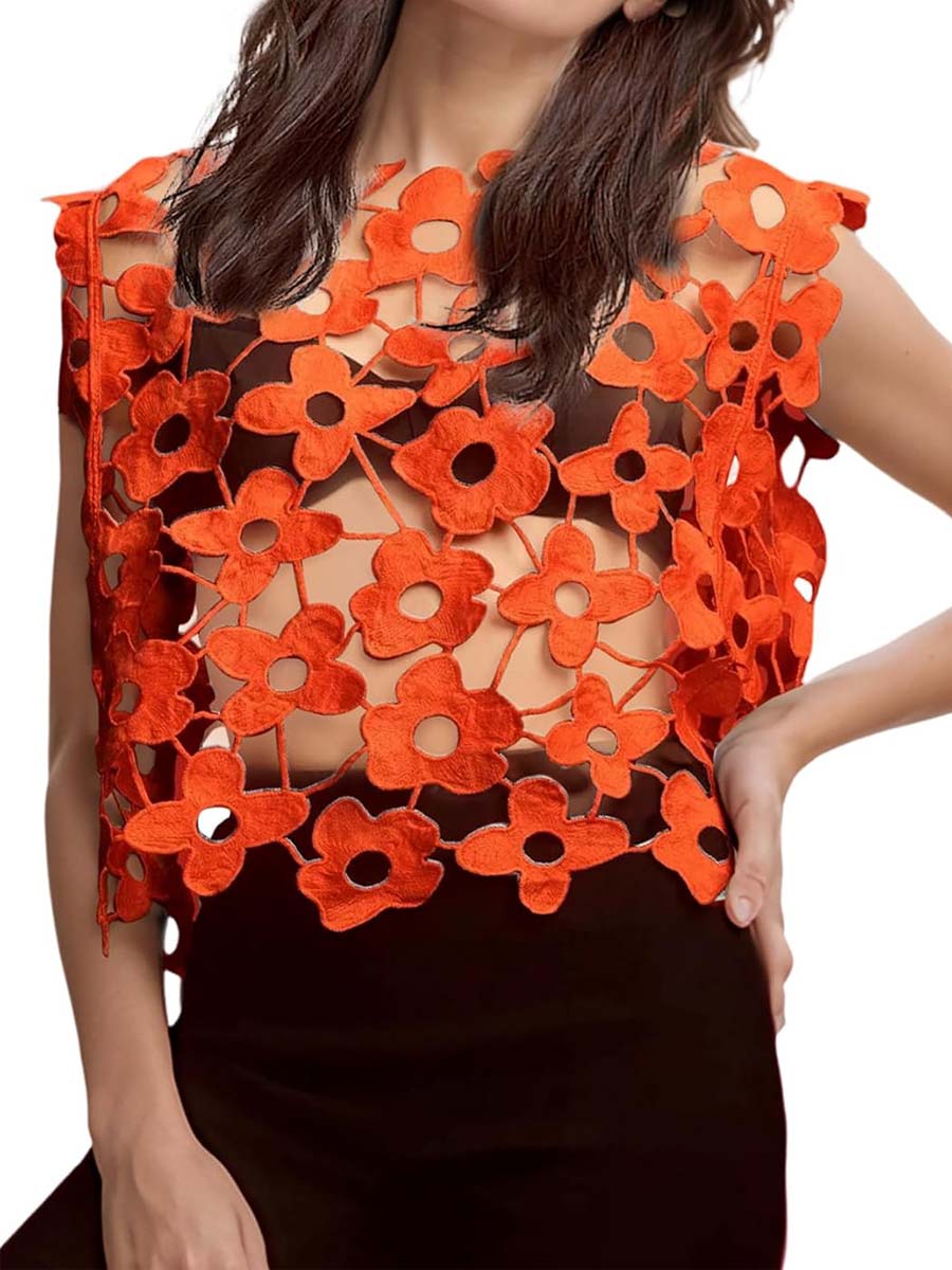 Hollow Out Floral Lace Cropped Blouse
